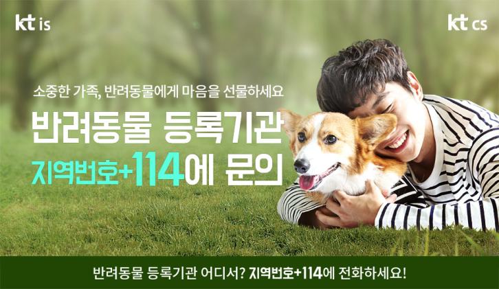 반려동물 등록 어디서? 번호안내 114에 물어보세요!