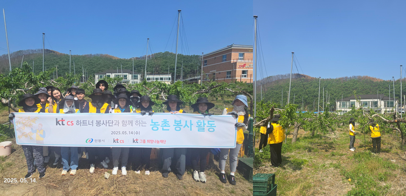 [하트너봉사단] 경북 안동 과수원 농가 일손 돕기